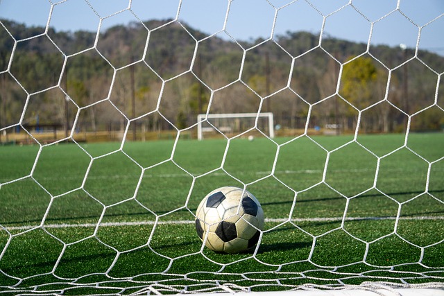 受伤无疑在 受伤无疑在