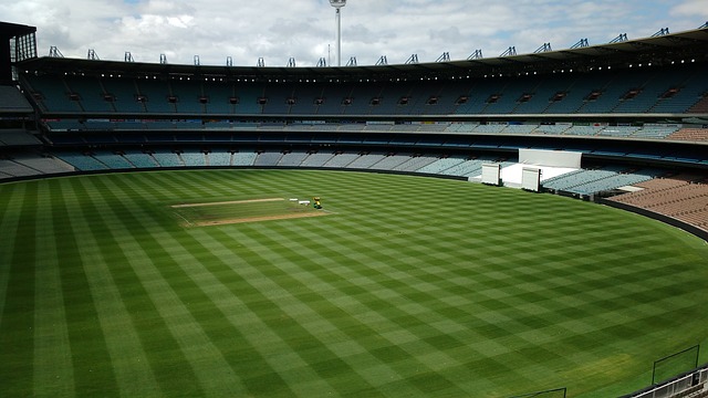 收穫經驗的 收穫經驗的