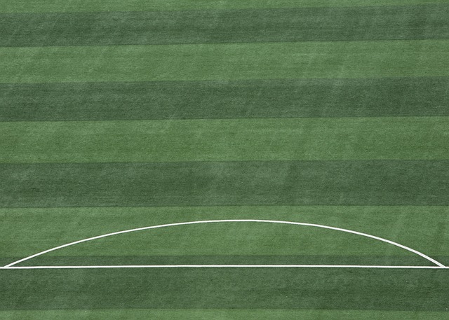 也标志着球 也标志着球