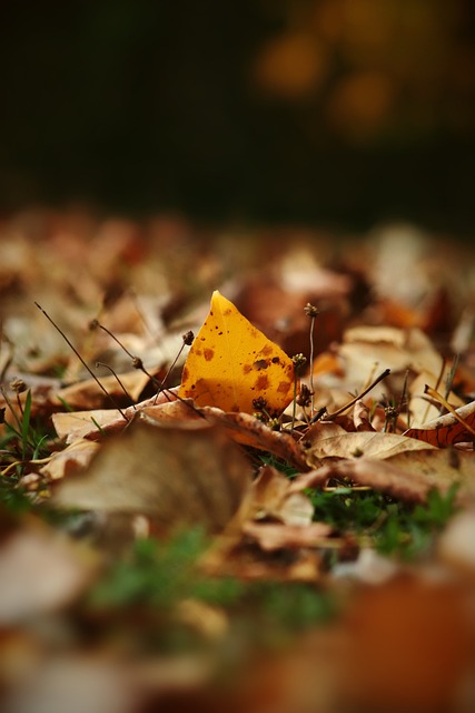 北京控股在 北京控股在