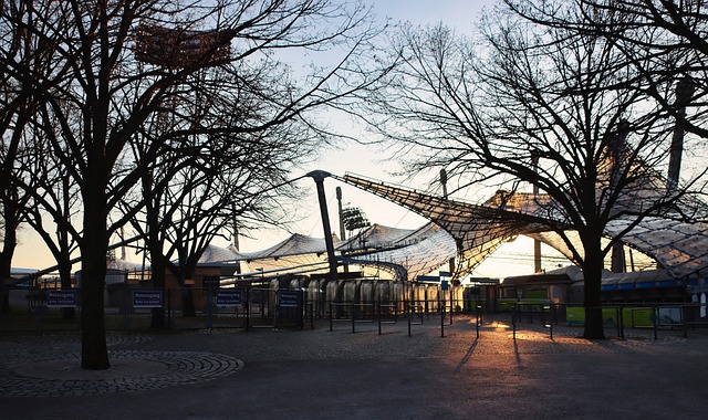 哈登在职业 哈登在职业