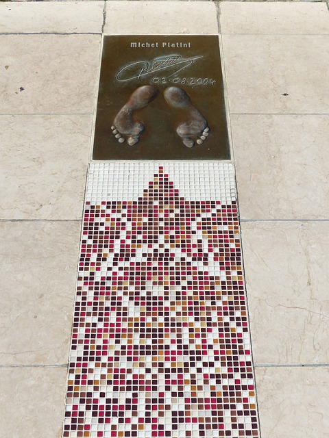 的代名词 的代名词