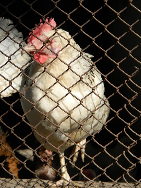 根据过往比 根据过往比