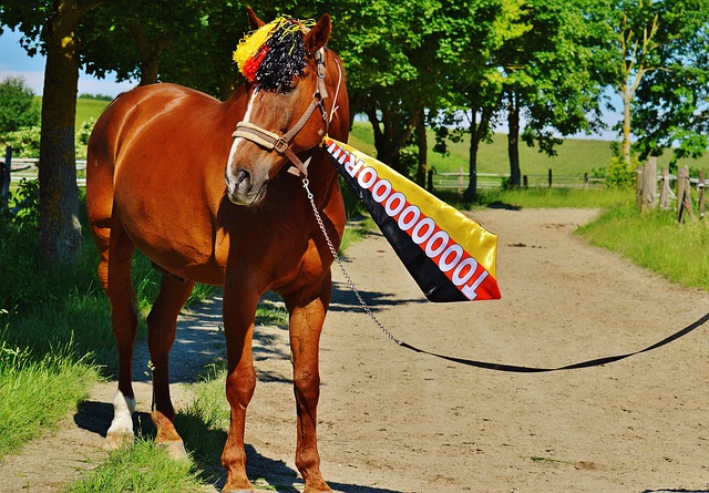 被誉为救世 被誉为救世