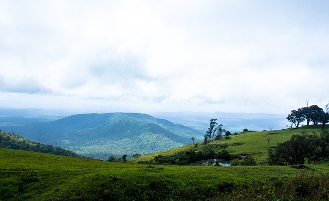 提供了生动 提供了生动